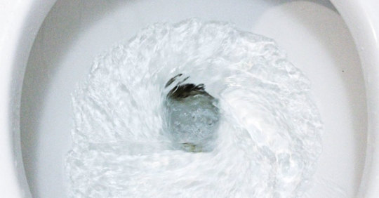 Illustration of items prohibited from being flushed down the toilet.