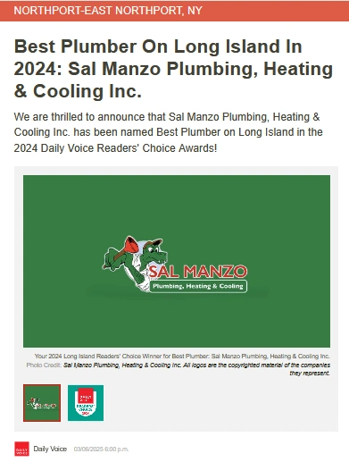 Official 2024 Daily Voice Readers' Choice Winner Graphic for Best Plumber