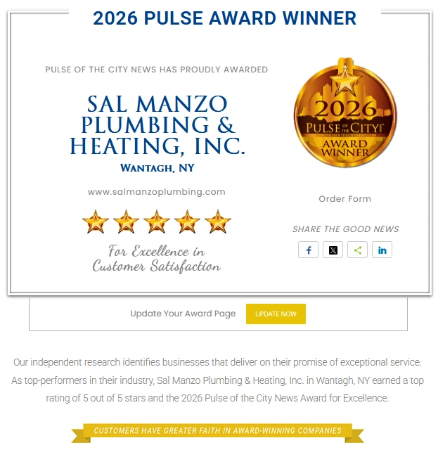 Official 2026 Pulse of the City Award Winner Graphic for Customer Satisfaction